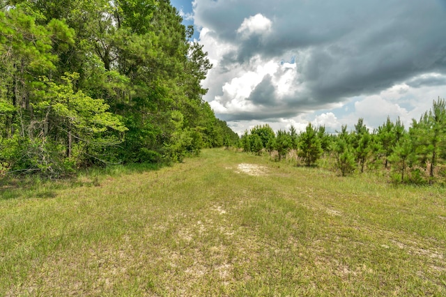 5120 N Brewington Rd, Manning, SC 29102
