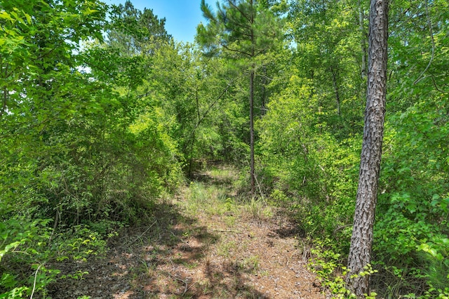 5120 N Brewington Rd, Manning, SC 29102