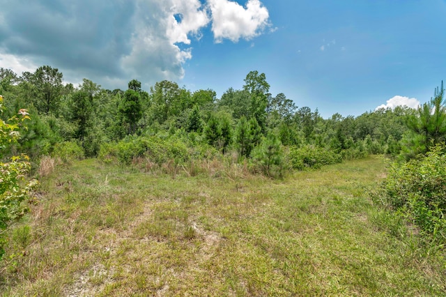 5120 N Brewington Rd, Manning, SC 29102