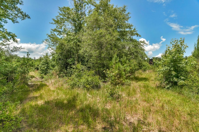 5120 N Brewington Rd, Manning, SC 29102