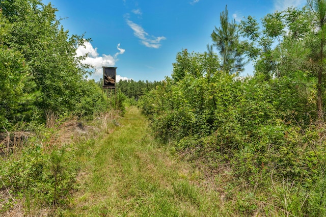 5120 N Brewington Rd, Manning, SC 29102