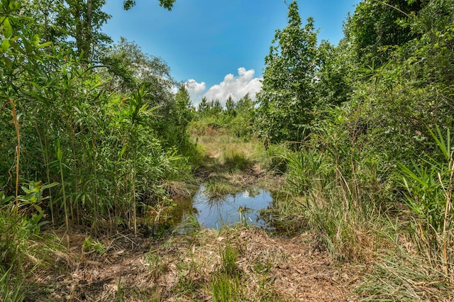 5120 N Brewington Rd, Manning, SC 29102