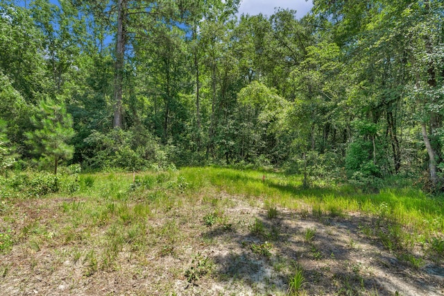 5120 N Brewington Rd, Manning, SC 29102