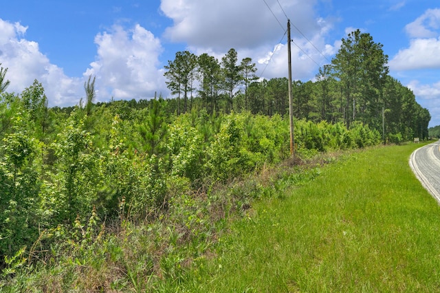 5120 N Brewington Rd, Manning, SC 29102