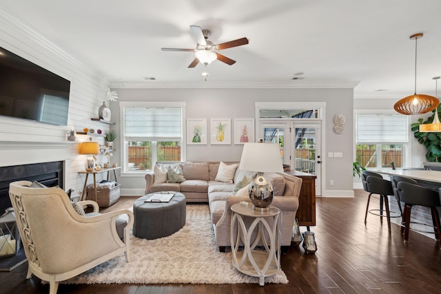 525 Yellow Tower Ter, Charleston, SC 29412 - living room with a ceiling fan, dark wood finished floors, crown molding, and a fireplace