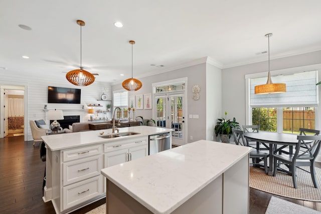 525 Yellow Tower Ter, Charleston, SC 29412 - kitchen featuring an island with sink, dishwasher, a fireplace, dark wood-style flooring, and recessed lighting