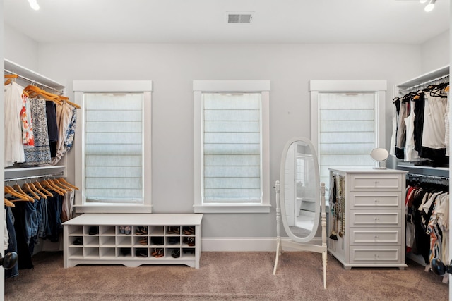 525 Yellow Tower Ter, Charleston, SC 29412 - spacious closet featuring carpet flooring