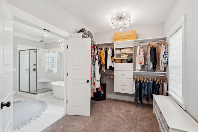 525 Yellow Tower Ter, Charleston, SC 29412 - walk in closet with a chandelier