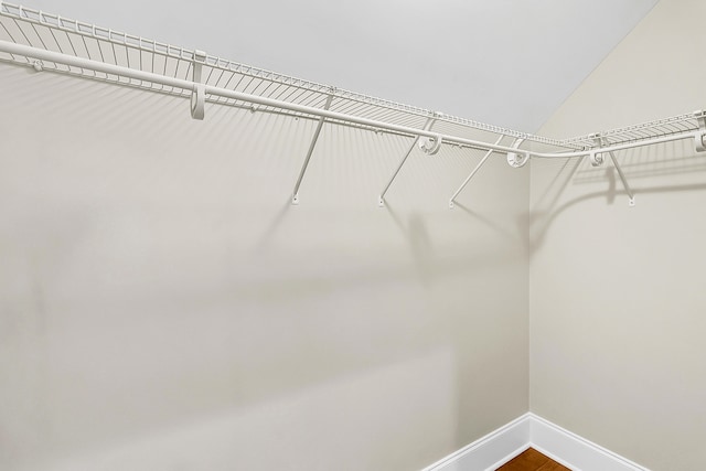 walk in closet featuring wood-type flooring