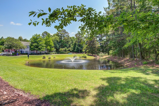 1335 Hopton Cir Unit 1335, Mount Pleasant, SC 29466 - view of green lawn with a water view