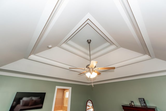 details with a ceiling fan and crown molding