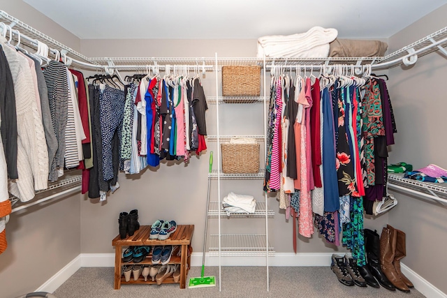 walk in closet with carpet floors