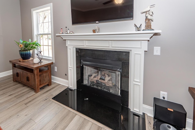 room details featuring a fireplace, baseboards, and wood finished floors