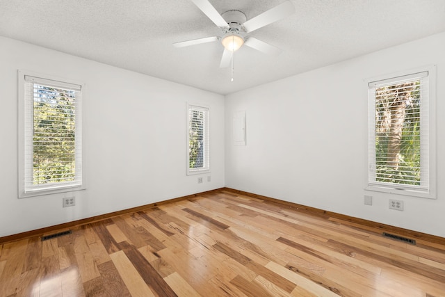 empty room featuring a textured ceiling, a wealth of natural light, and light hardwood / wood-style flooring