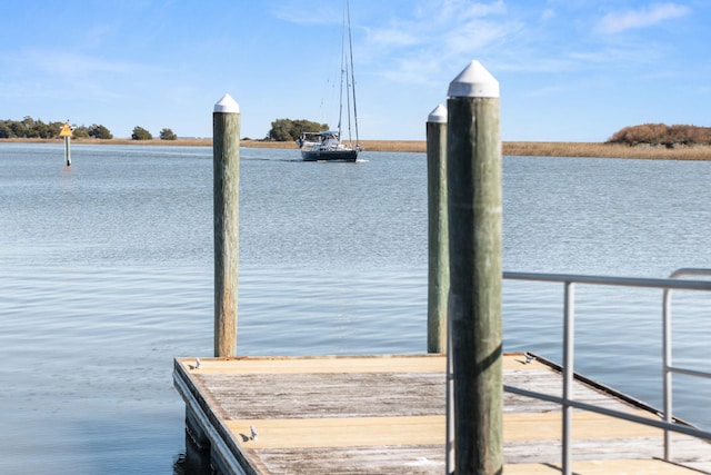 dock area with a water view