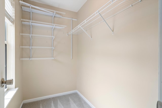 spacious closet with carpet flooring