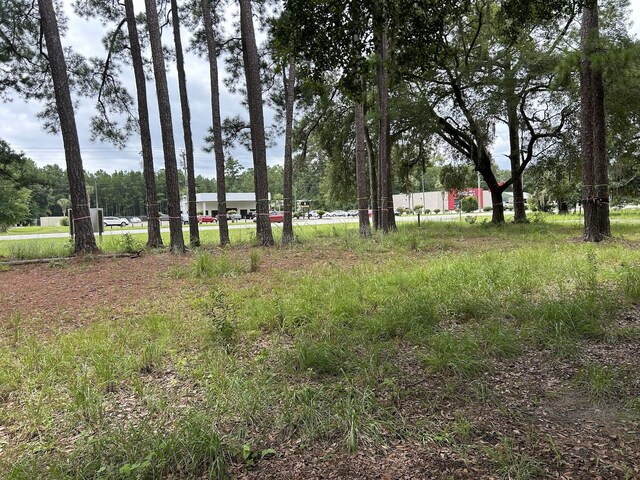 6154 Savannah Hwy Unit 1-A, Ravenel, SC 29470
