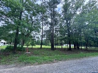 426 Nelsonhill Pl, Cross, SC 29436