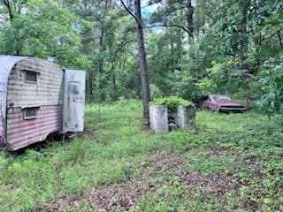 426 Nelsonhill Pl, Cross, SC 29436