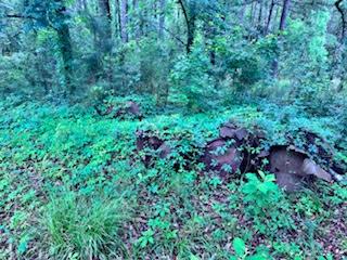426 Nelsonhill Pl, Cross, SC 29436