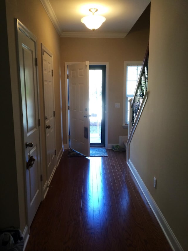 1720 Restoration Ct, Charleston, SC 29414 - entryway featuring dark wood-style floors, ornamental molding, and stairway