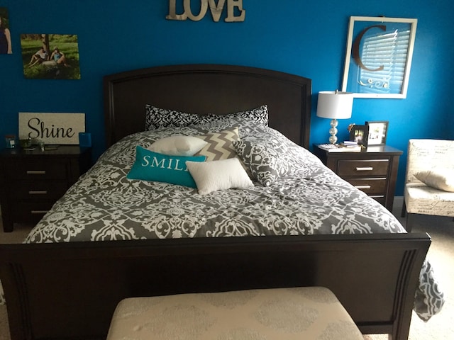 1720 Restoration Ct, Charleston, SC 29414 - view of carpeted bedroom