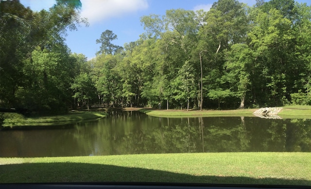 1720 Restoration Ct, Charleston, SC 29414 - water view with a forest