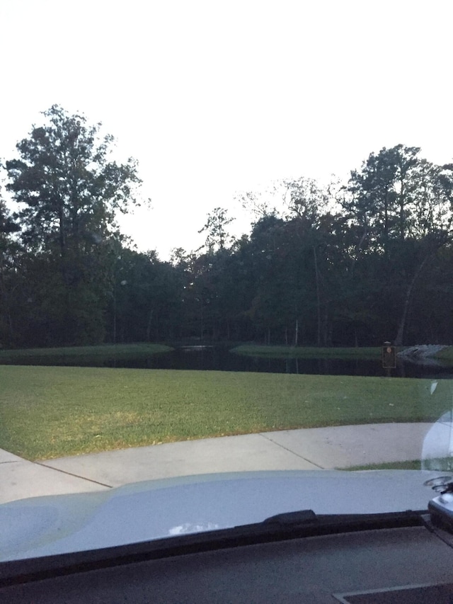 1720 Restoration Ct, Charleston, SC 29414 - view of road