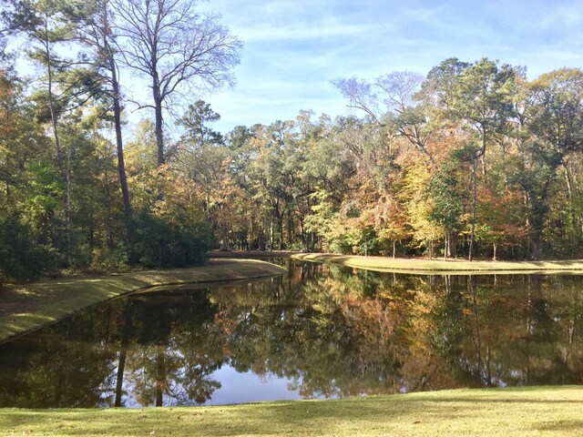 1720 Restoration Ct, Charleston, SC 29414 - water view featuring a forest