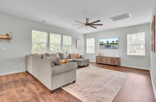 living room with dark hardwood / wood-style floors and a wealth of natural light