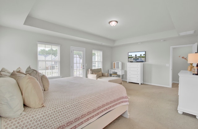 carpeted bedroom with a raised ceiling