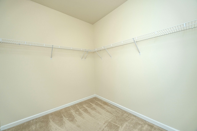 walk in closet featuring carpet