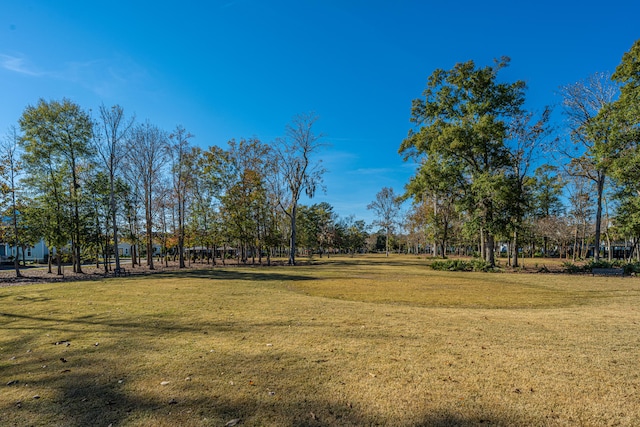 view of property's community with a yard