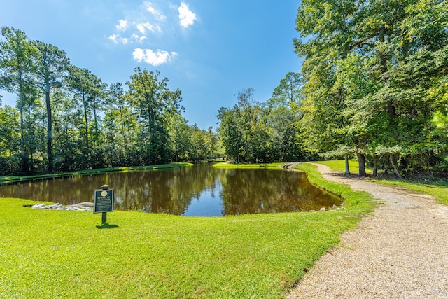 view of water feature