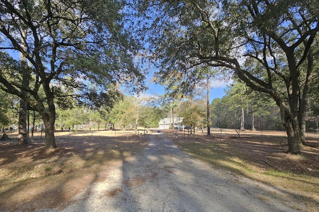 view of street with dirt driveway