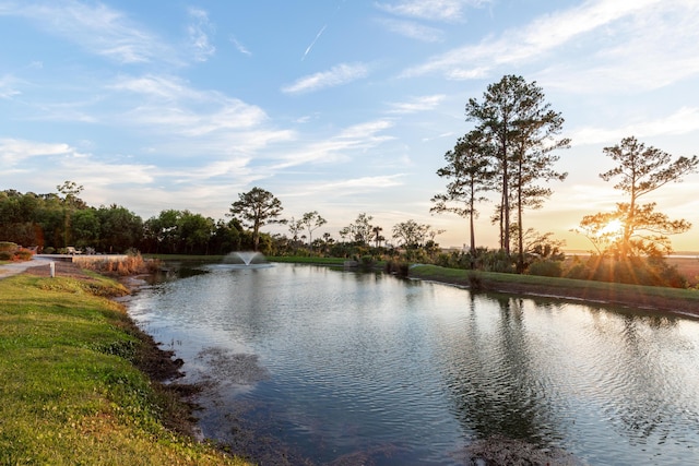 304 Pathfinder Way, Charleston, SC 29492 - water view
