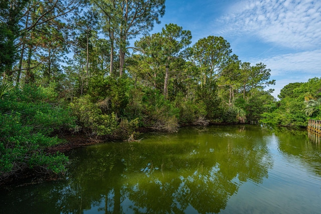 1143 Sea Eagle Watch, Charleston, SC 29412 - water view with a forest