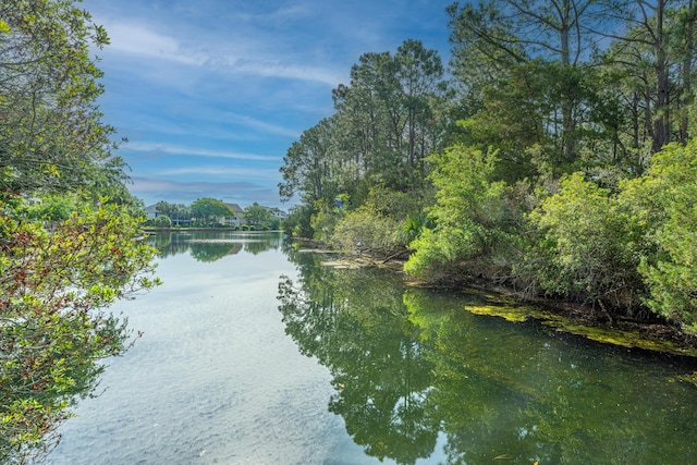 1143 Sea Eagle Watch, Charleston, SC 29412 - water view