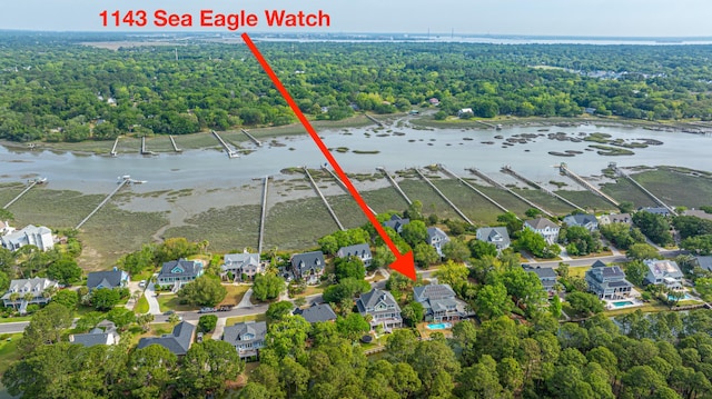 1143 Sea Eagle Watch, Charleston, SC 29412 - aerial view of property and surrounding area with nearby suburban area