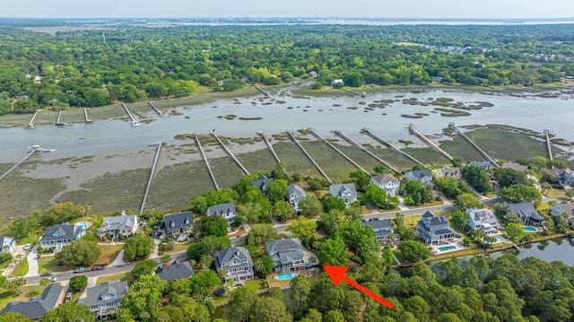 1143 Sea Eagle Watch, Charleston, SC 29412 - aerial view of property's location featuring a large body of water and nearby suburban area