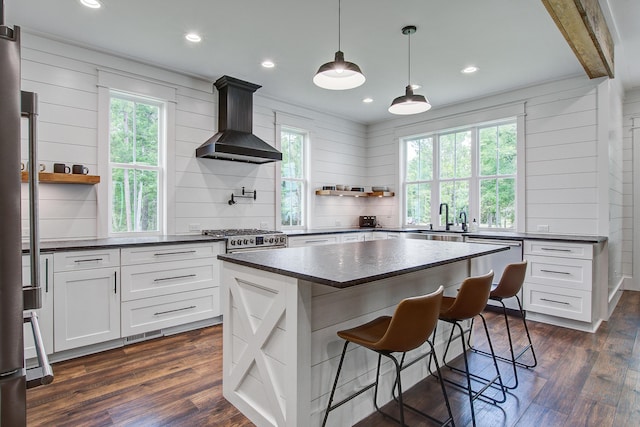 105 Bobcat Ln, Ravenel, SC 29470 - kitchen featuring open shelves, wall chimney range hood, a sink, stainless steel appliances, and dark wood-style flooring