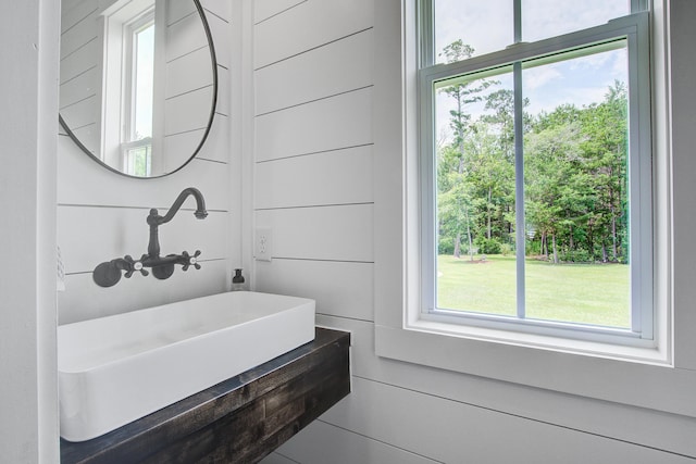 105 Bobcat Ln, Ravenel, SC 29470 - bathroom featuring a sink and plenty of natural light