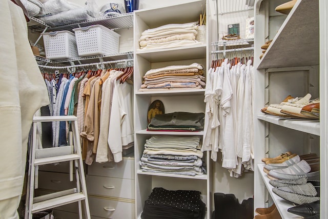 105 Bobcat Ln, Ravenel, SC 29470 - view of spacious closet