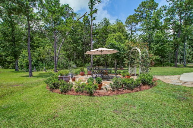 105 Bobcat Ln, Ravenel, SC 29470 - view of green lawn featuring a patio