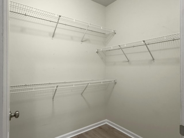 spacious closet featuring dark wood-style floors