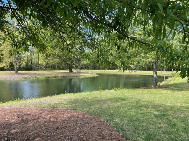 view of water feature
