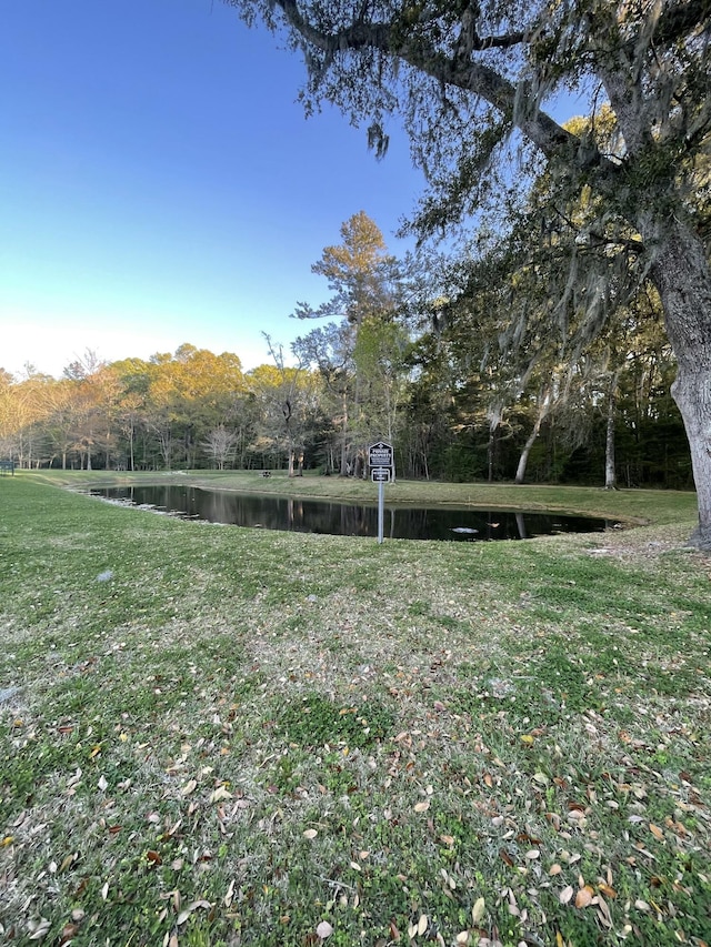 view of yard featuring a water view