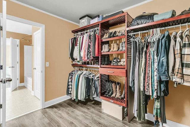 walk in closet featuring wood finished floors