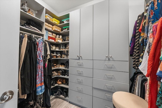 spacious closet with light wood-type flooring