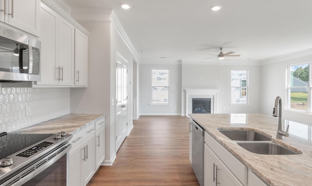 kitchen featuring a sink, crown molding, a fireplace, and stainless steel appliances